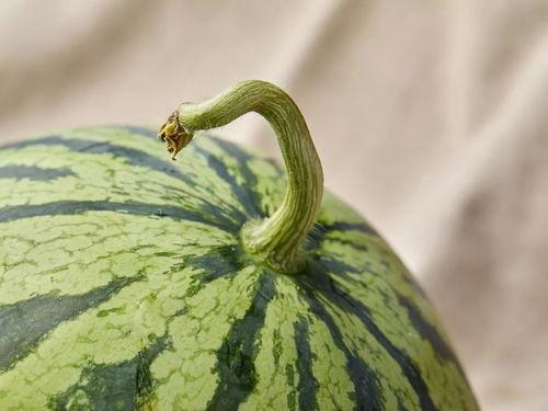 soul吃的瓜,那些你不知道的瓜与真相 第2张 soul吃的瓜,那些你不知道的瓜与真相 第2张